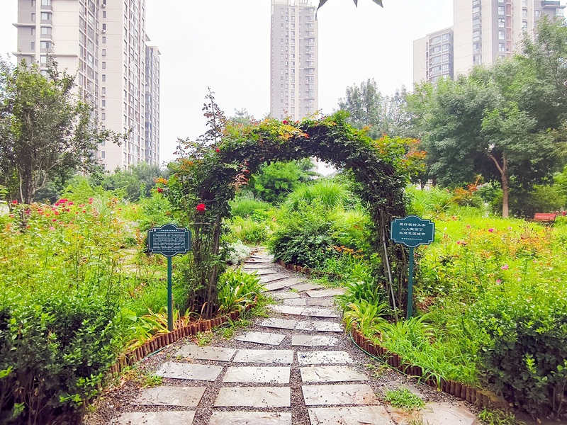 图4_修改.jpg 图4_修改.jpg